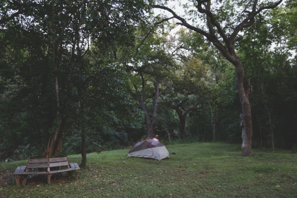 Pedernales Falls Camping for Beginners: A First-Timer’s Guide