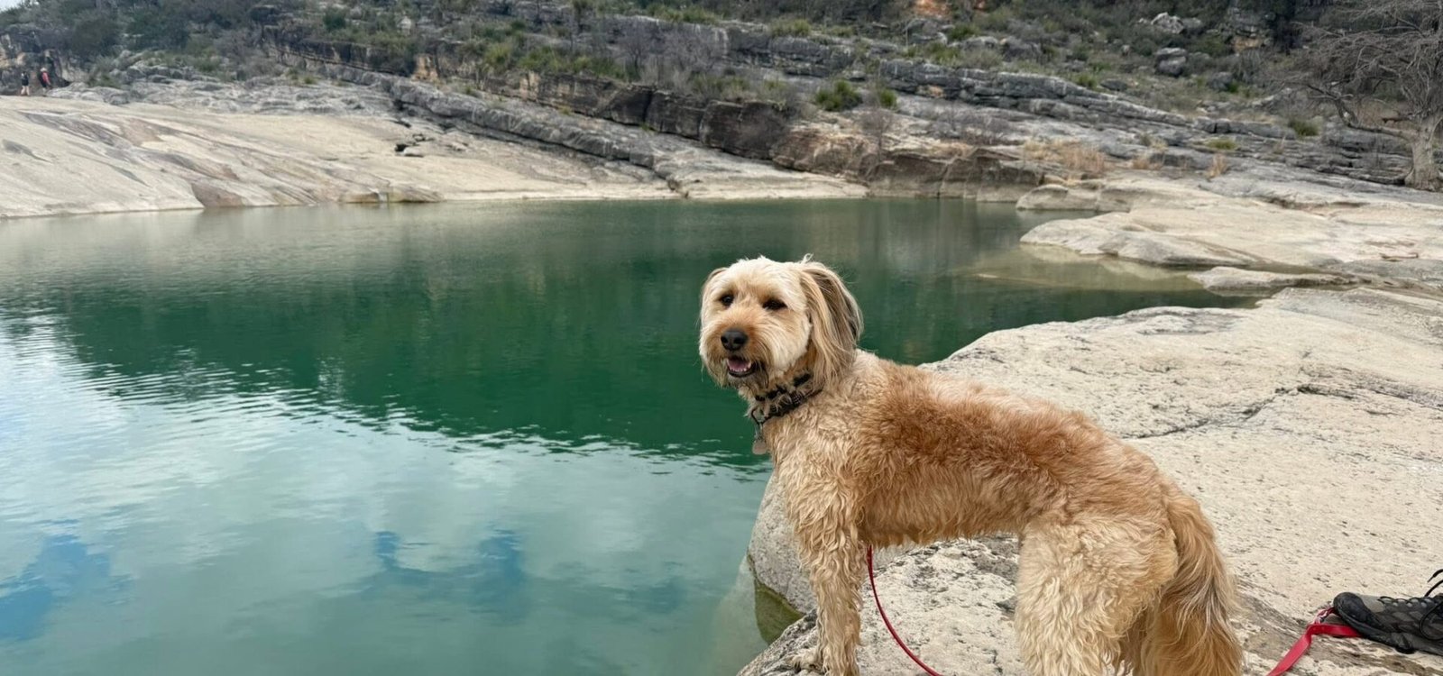 Dog-Friendly Guide to Pedernales Falls State Park