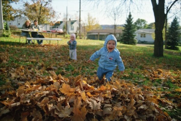 Best Hill Country Parks for Families