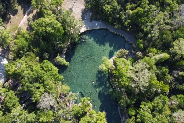Best Swimming Holes Near Austin (Ranked for 2026)