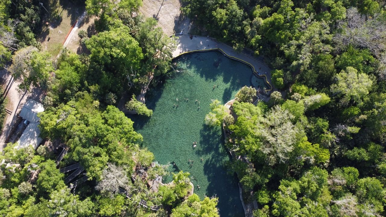 Best Swimming Holes Near Austin (Ranked for 2026)